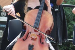 IMG_8647