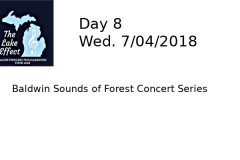 Day 8
